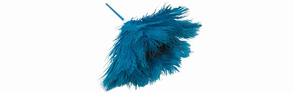 Extendable Feather Duster
