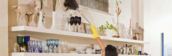 Furniture-feather duster (3)