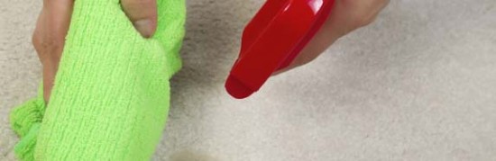 Cleaning Stain in Carpet